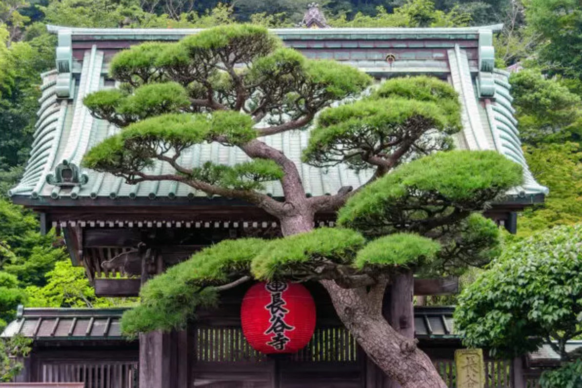 Kamakura