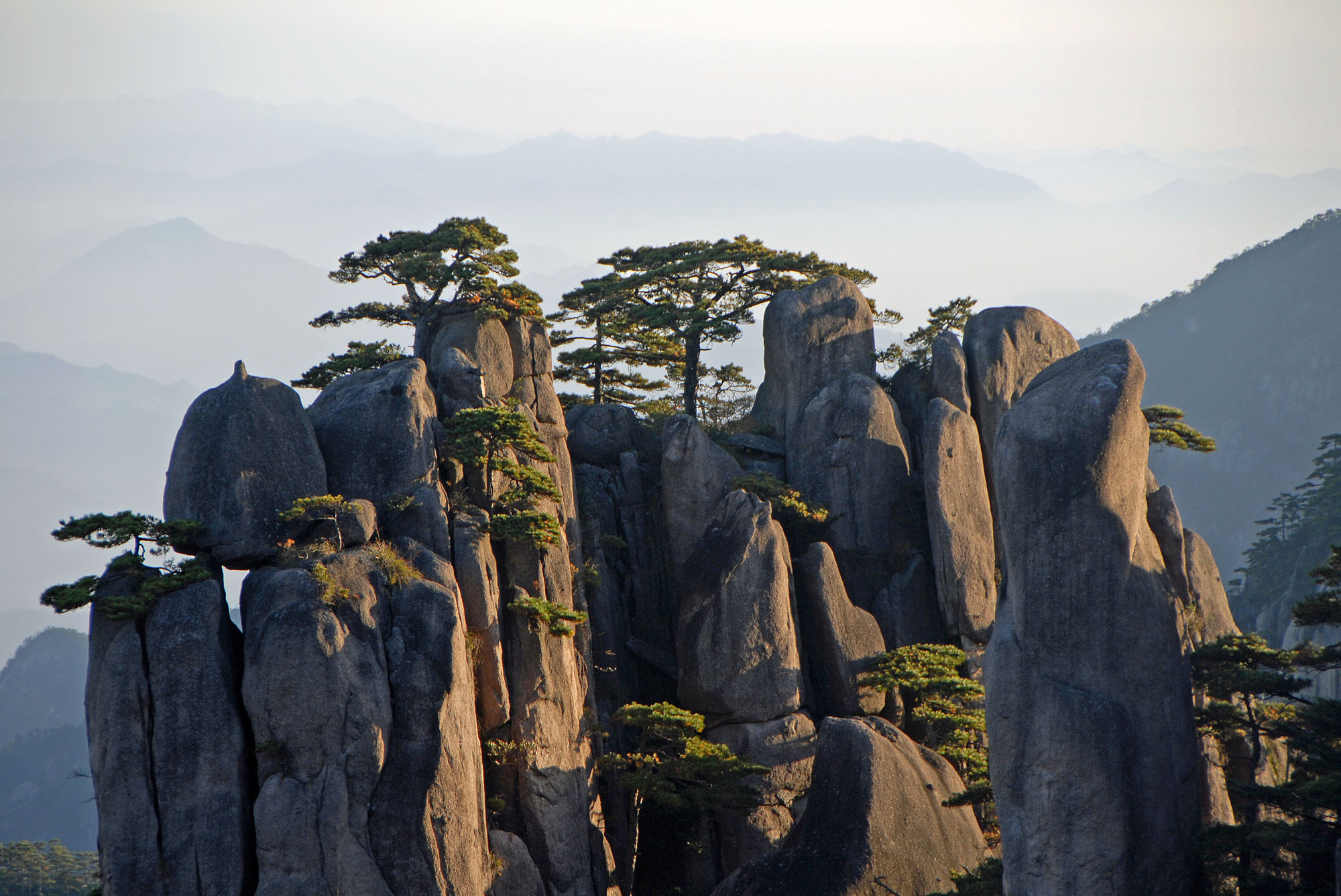 Huangshan Mountain in Anhui Province, China. View at sunrise from Dawn Pavilion viewpoint with a rocky outcrop and pine trees. Photo by Jonathan Wilson via AdobeStock.